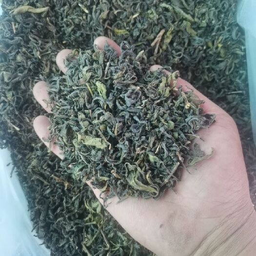遵义茶叶批发高山云雾绿茶粗茶茶片2024年新茶贵州绿茶茶叶茶头