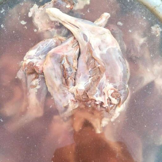 临沭县兔肉类 兔肉