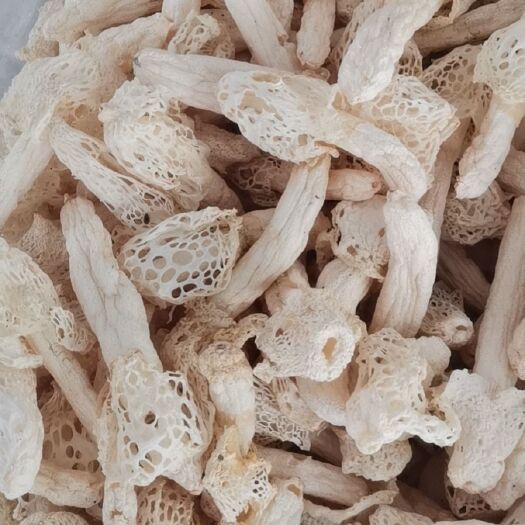 兴义市红托竹荪 竹荪干货。鲜货