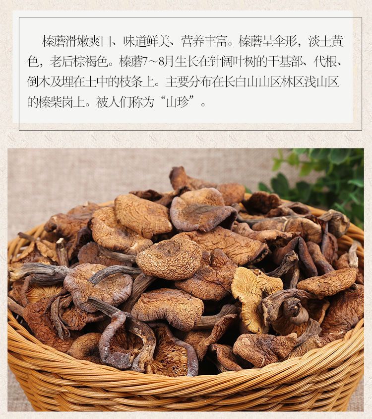 东北纯野榛蘑干货小鸡炖蘑菇批发长白山土特产榛蘑丁无根新货包邮