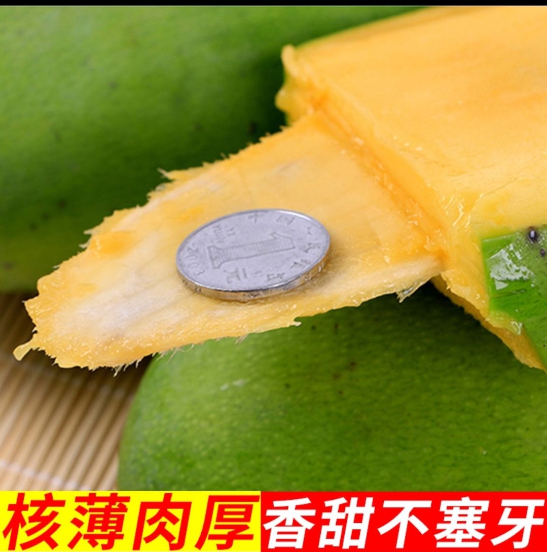大青芒  越青芒  现货现发24小时发货青芒新鲜芒果水果甜心