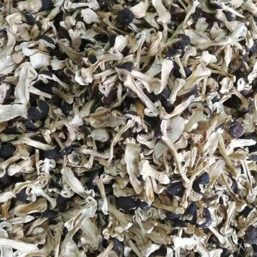 大球盖菇 球盖菇干货，赤松茸干菇
