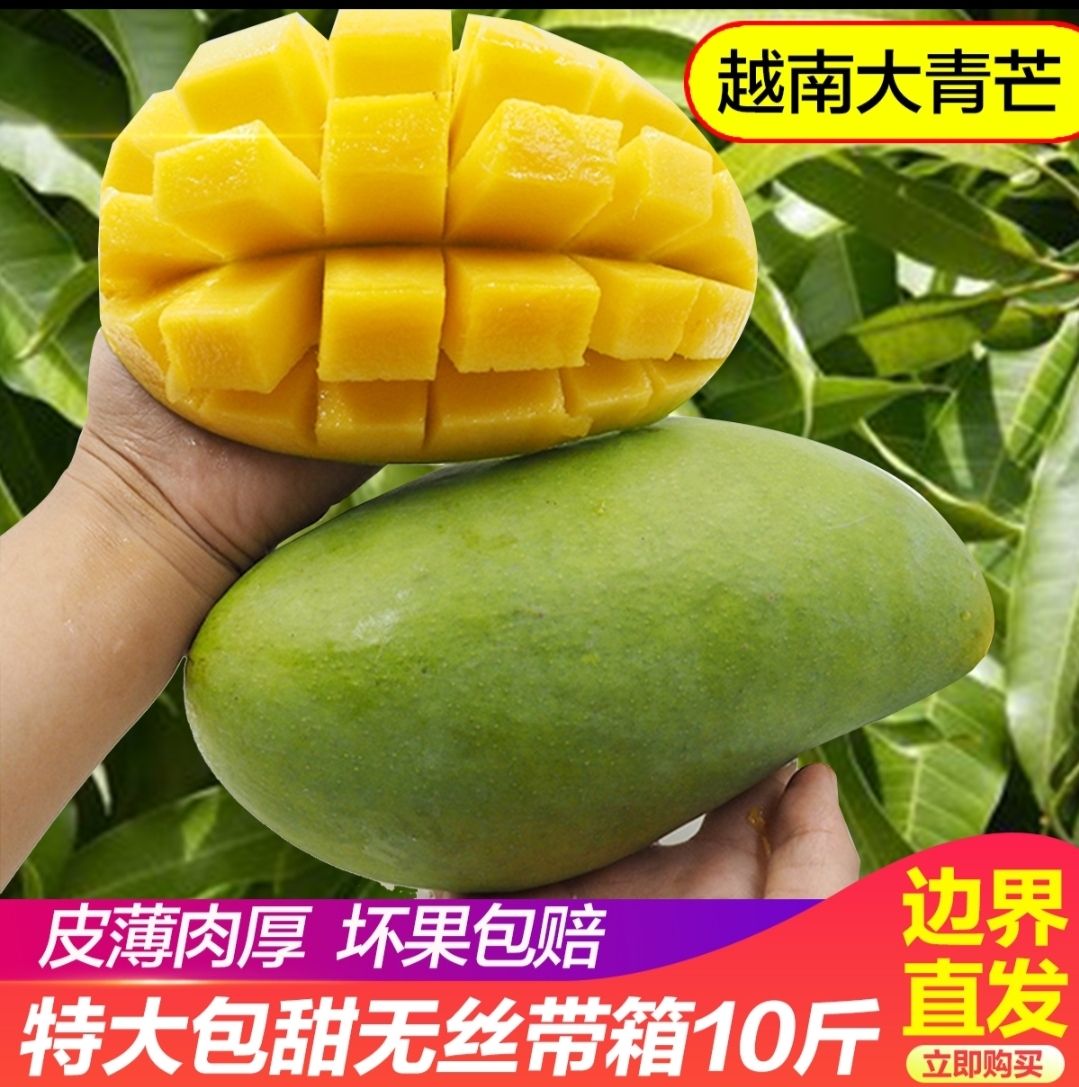 大青芒  越青芒  现货现发24小时发货青芒新鲜芒果水果甜心
