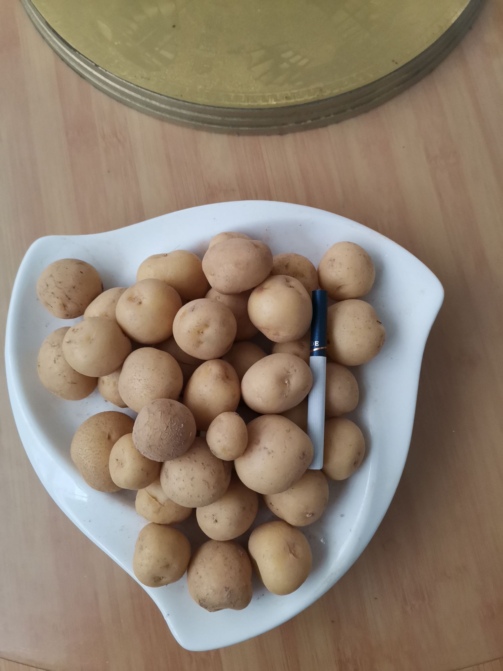 迷你土豆  迷你小土豆