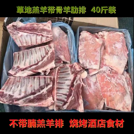 南京新鲜冷冻羔羊肋排 腹肉羊排带骨羊排烧烤宴席酒店食材40斤