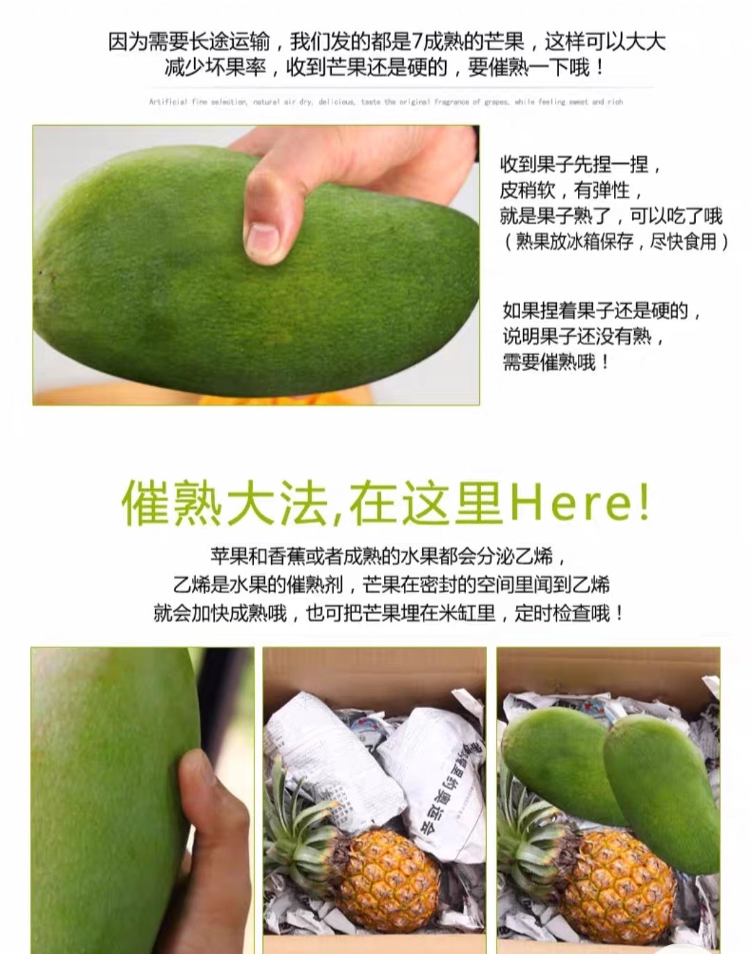 大青芒  越青芒  现货现发24小时发货青芒新鲜芒果水果甜心