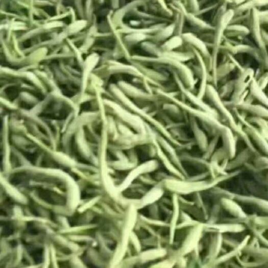 巨鹿县纯正河北巨鹿金银花，自产自销，产地发货，一手货源