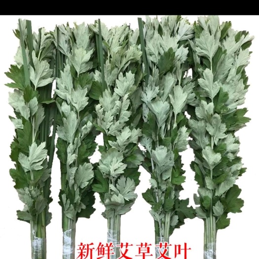 南阳端午节艾草   悬挂艾草    驱蚊驱虫