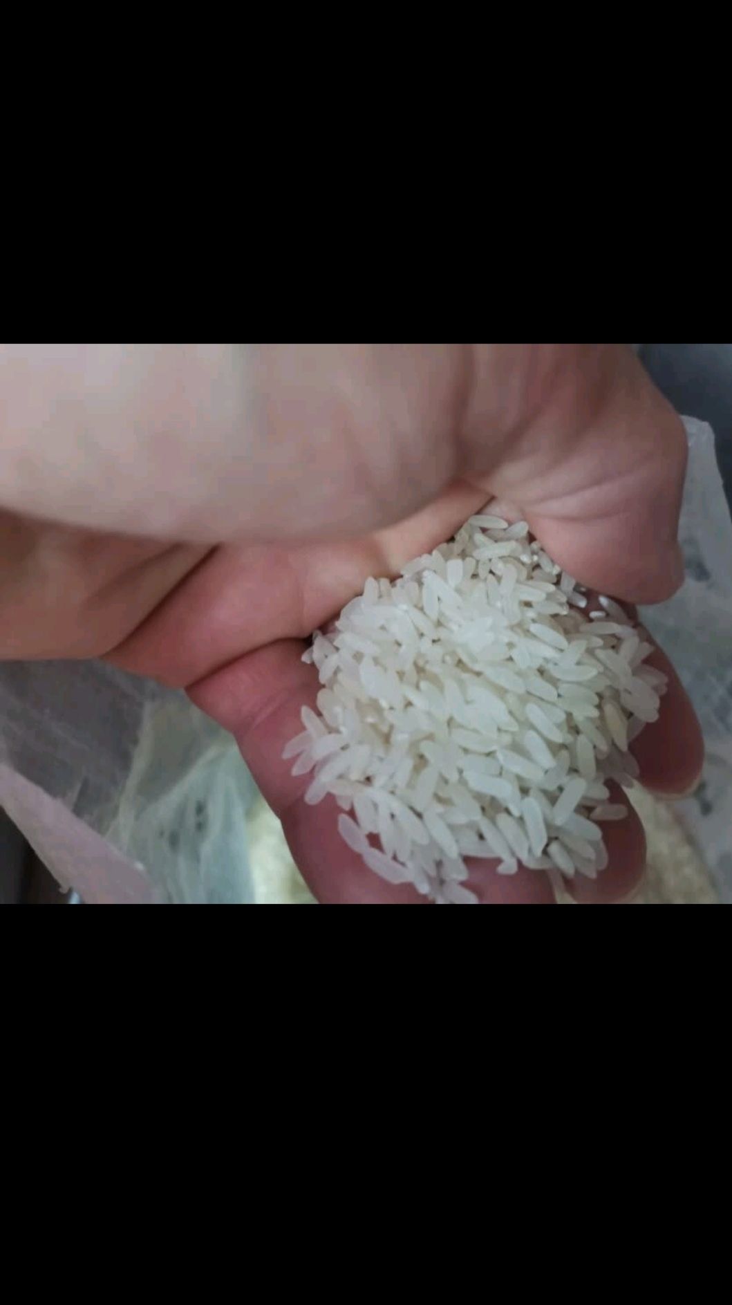  大米