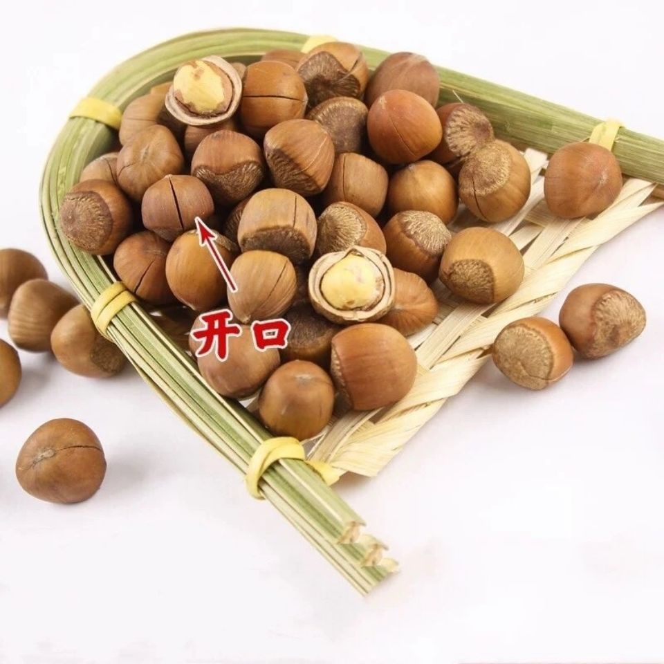新货东北特产手拍小榛子开口炒熟原味薄皮坚果
下单赠送钳子