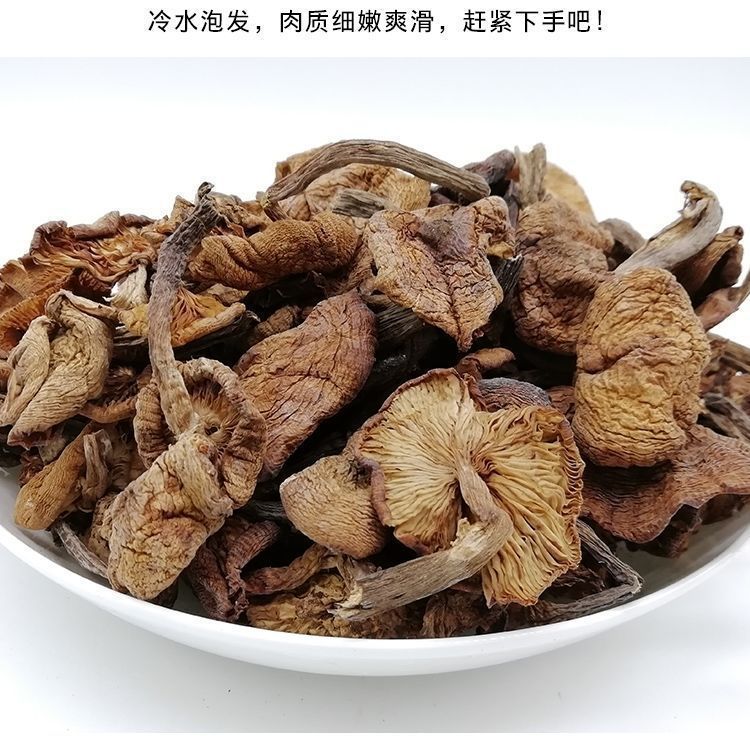 东北纯野榛蘑干货小鸡炖蘑菇批发长白山土特产榛蘑丁无根新货包邮