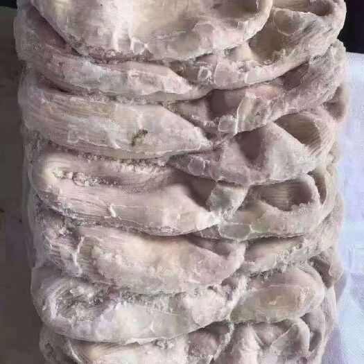 东莞市 猪肚  片肚