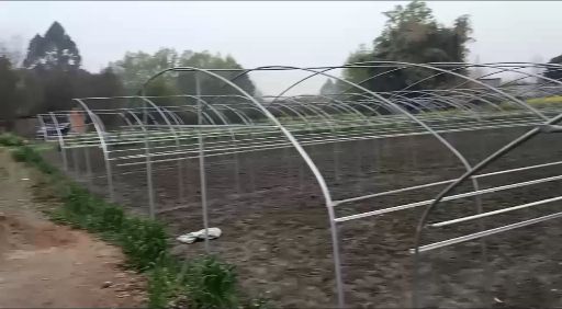 水浇地  新地出让 转租  都行  已经出菜  25亩 菜地 可扩地