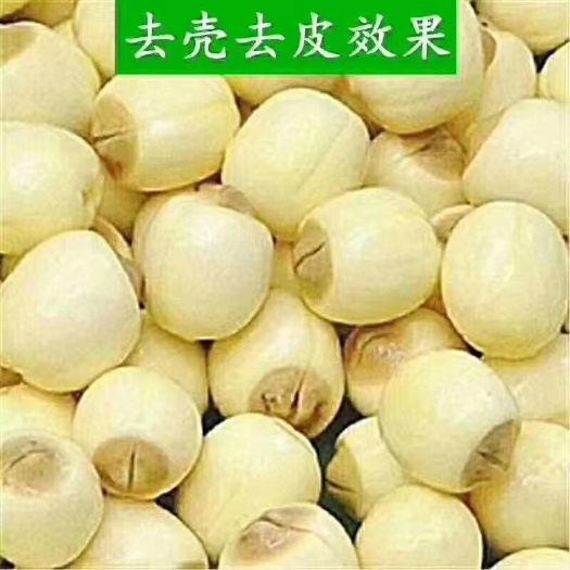 青莲子 江西省广昌县产地直销莲蓬真空包装鲜莲子电商助农扶贫中心价格优