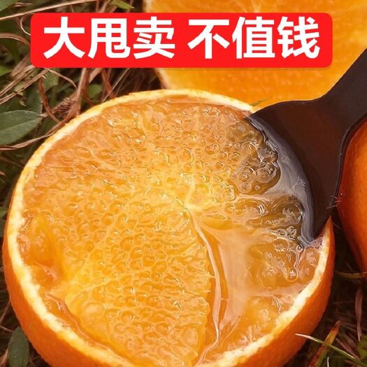 玉林爱媛橙  果冻橙青见现摘现发新鲜水果整箱5/10斤包邮
