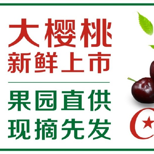 大连美早樱桃  大连美早露地大樱桃一级果6月上市预订中