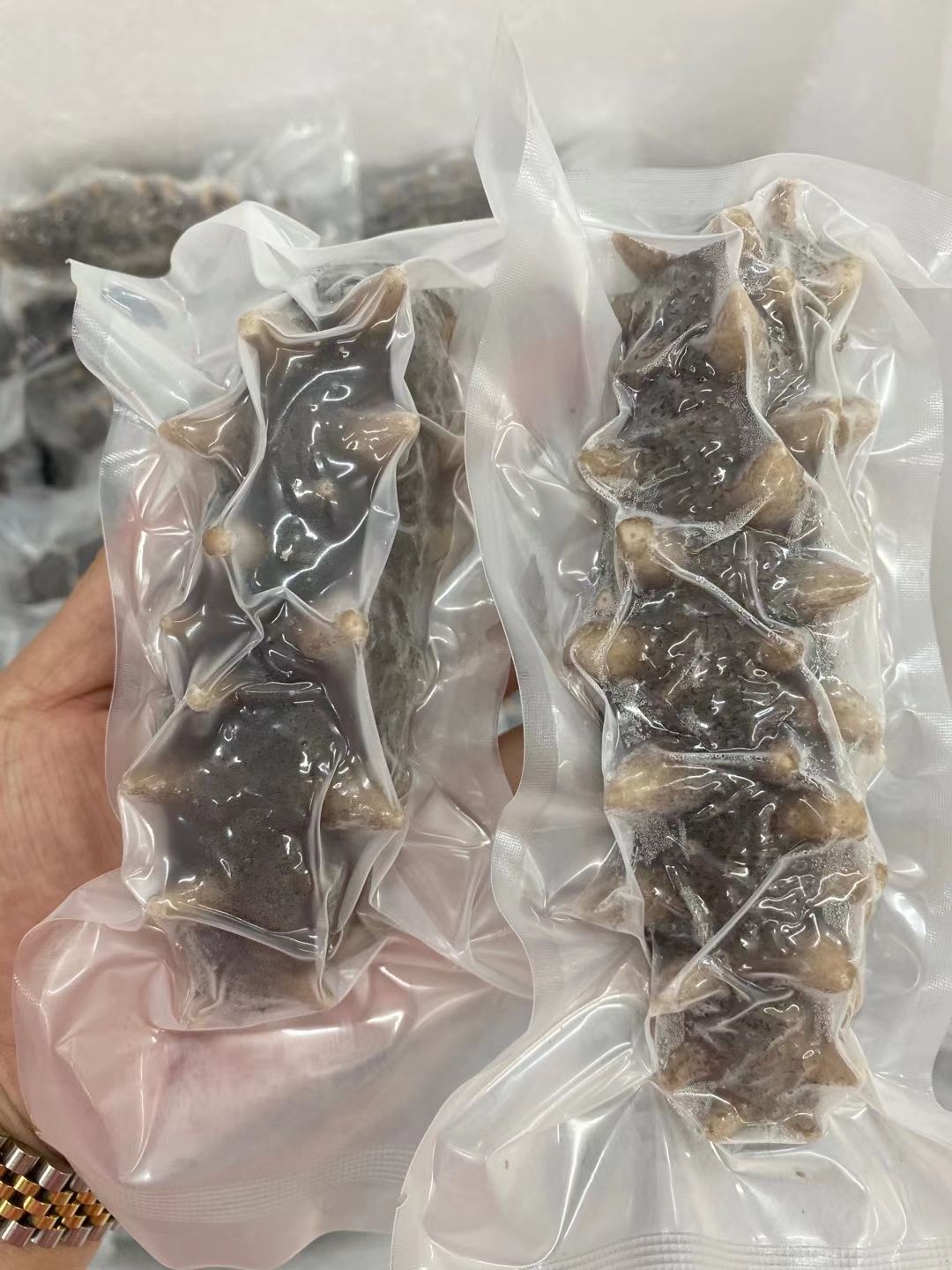 底播参  即食海参【包邮】【酒店批发专用】【3头-15头】【质量保证】