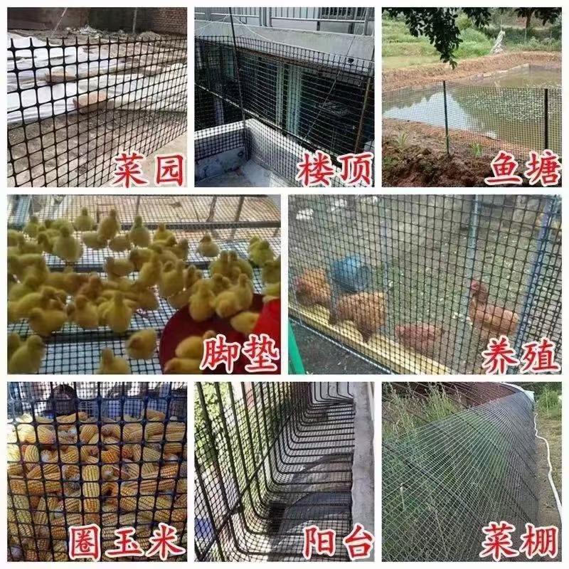 塑料围栏网  塑料养殖网鸡鸭鹅漏粪网围栏网防护网大棚防雨水网