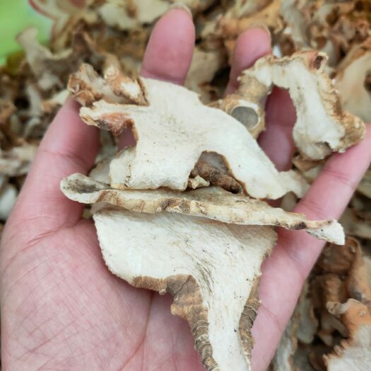 略阳县甜黄精  姜型黄精干片，饮片，统货干净无硫磺，10斤起，包邮