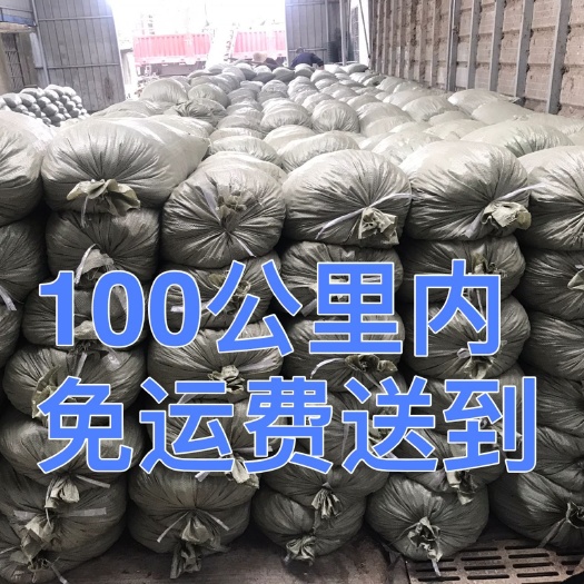 羊粪高栏养殖湖羊百公里内免运费送到