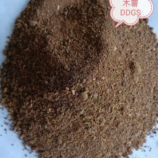 正定县木薯渣 木薯DDGS 蛋白20.56% 脂肪6.85%纤维16.95