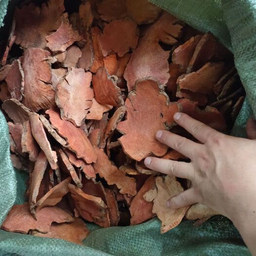 中山市红色土茯苓片(精选)