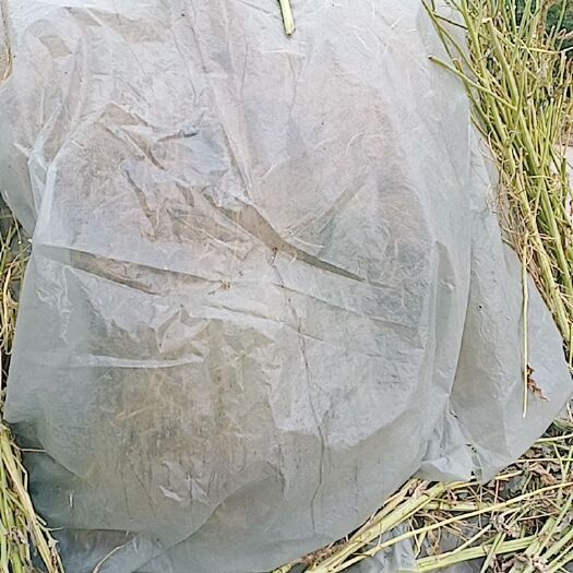 亳州秸秆饲料 