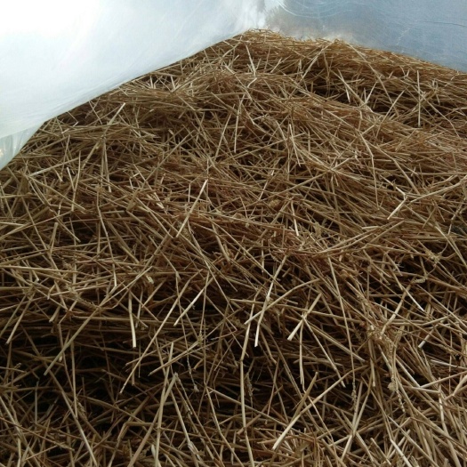 费县小麦秸秆