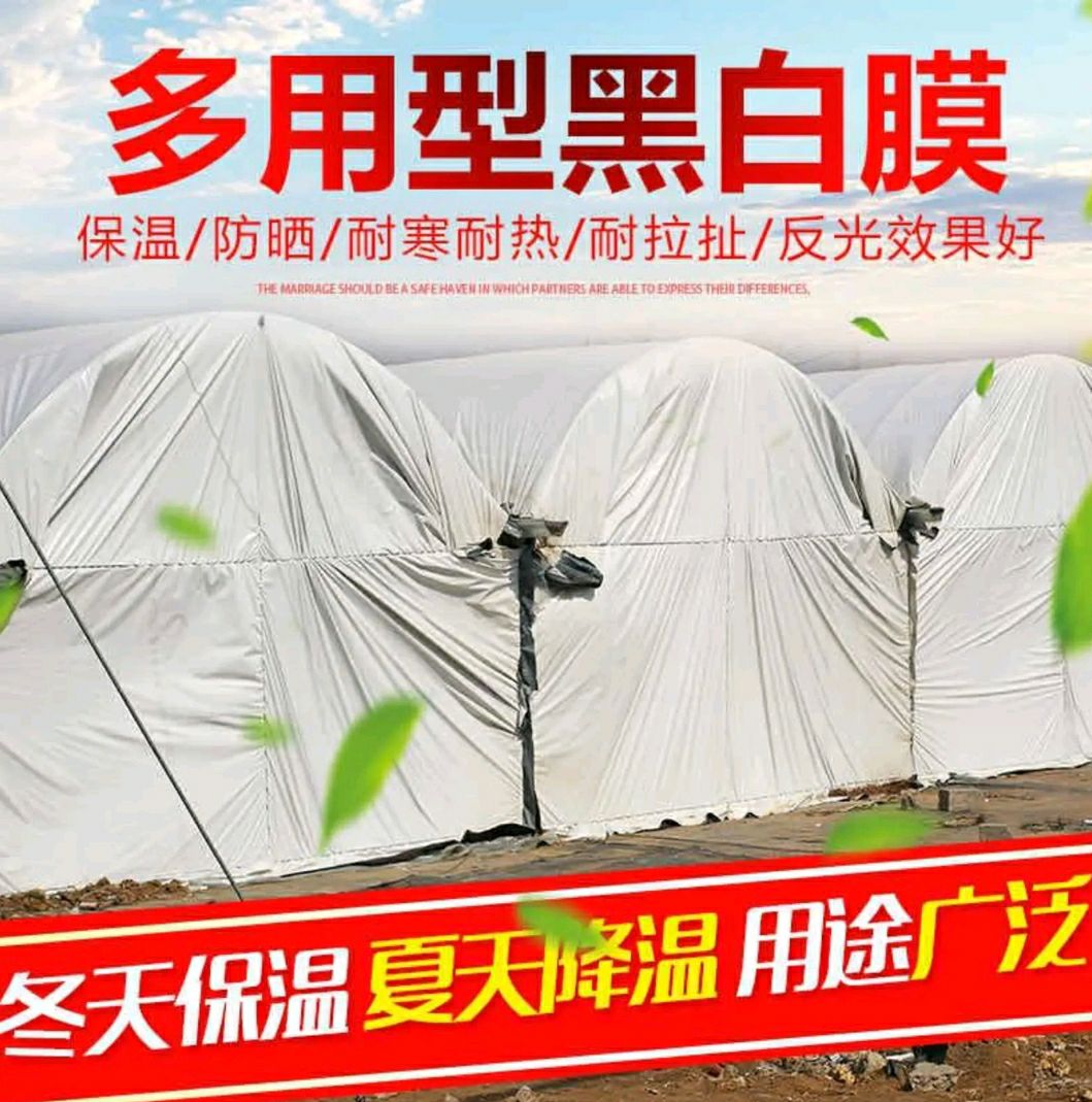 地膜  黑白膜  黑白养殖专用膜