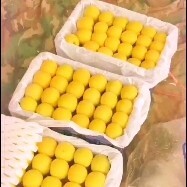 夏县梅杏  当季新鲜水果杏梅成熟基地直供承接 微电商【一件代发】