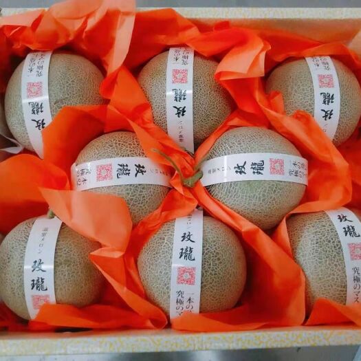 岳阳县哈密瓜 网纹瓜