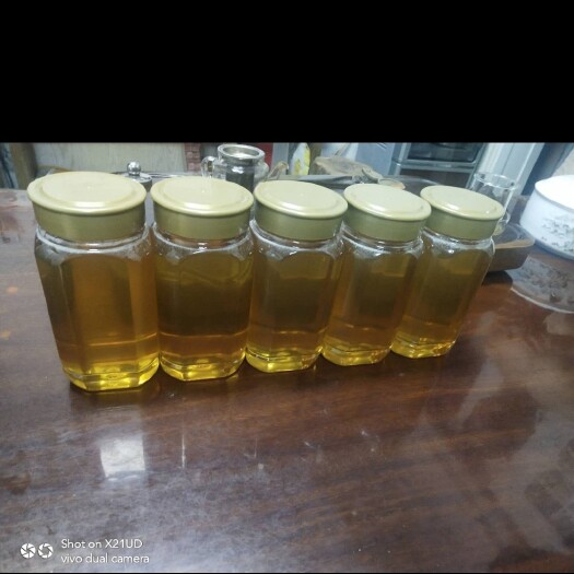 南安市土蜂蜜  蜂蜜