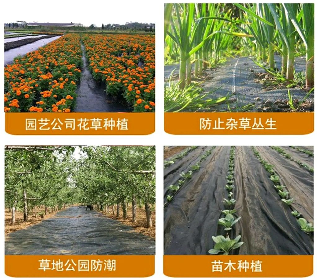 地膜  防草膜  PE 地布 黑色 白色