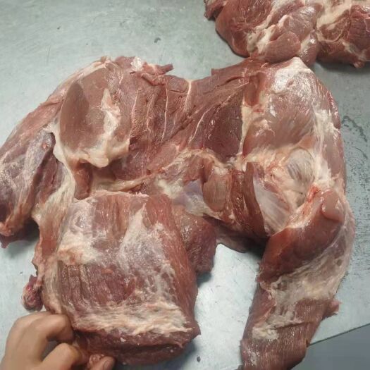 临沂前腿肉  母猪2号肉，手续齐全
