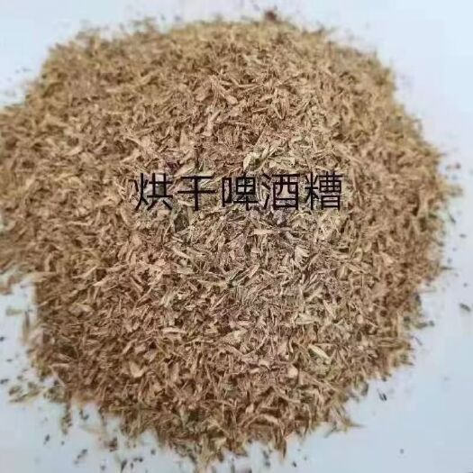 正定县 烘干啤酒糟