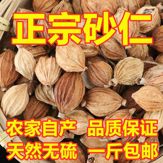 新货香砂仁川砂仁金沙仁粉卤肉香料调料包炖肉火锅底料厨房调味料
