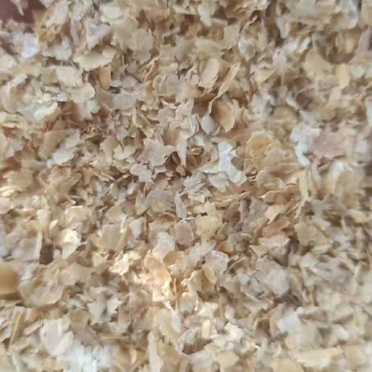 石家庄麦麸 麸皮