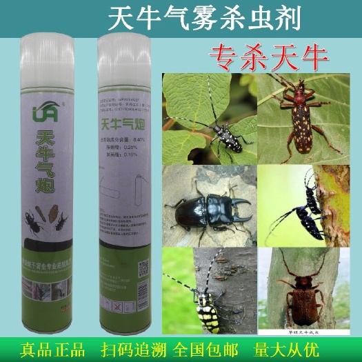 荥阳市天牛气雾剂750ml天牛钻心虫蛀虫白蚁杀虫剂果树园林