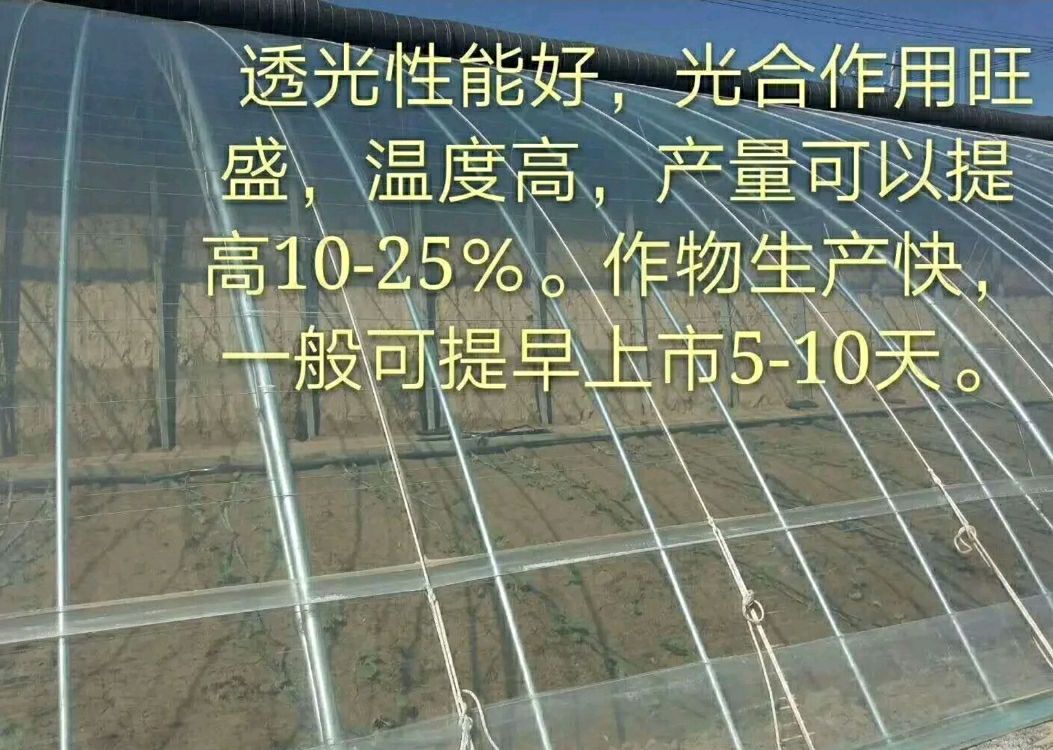 棚膜  西瓜、草莓专用膜，水果花卉专用膜