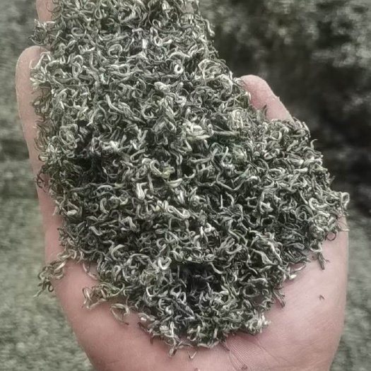 遵义贵州独芽毛尖绿茶浓香型明前高山云雾散装茶叶2024新茶