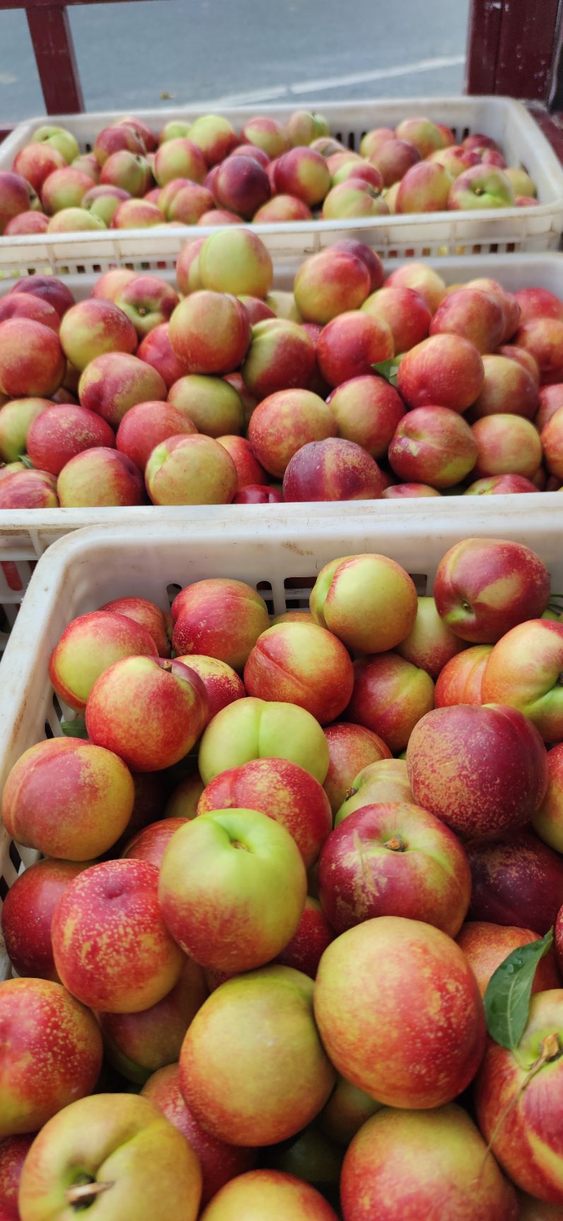 黄油桃 湖北随州黄肉油桃一件包邮