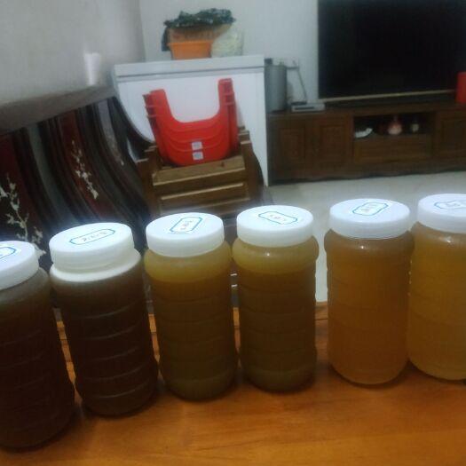 龙门县土蜂蜜 真金白银买正品蜂蜜