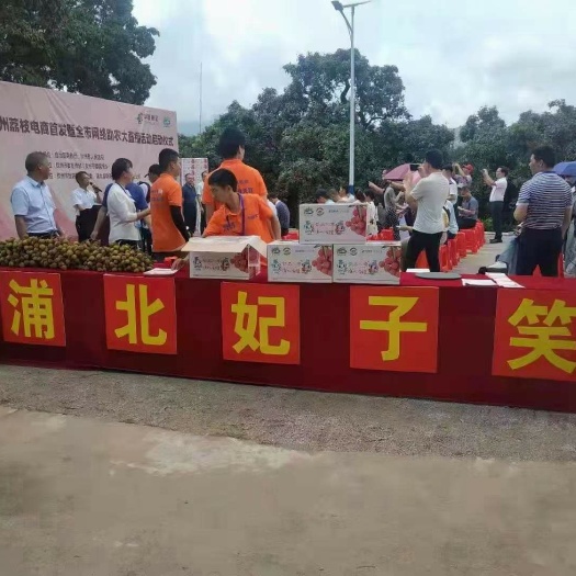 浦北县妃子笑荔枝  包邮荔枝，妃子笑，白糖罂，黑叶，香荔