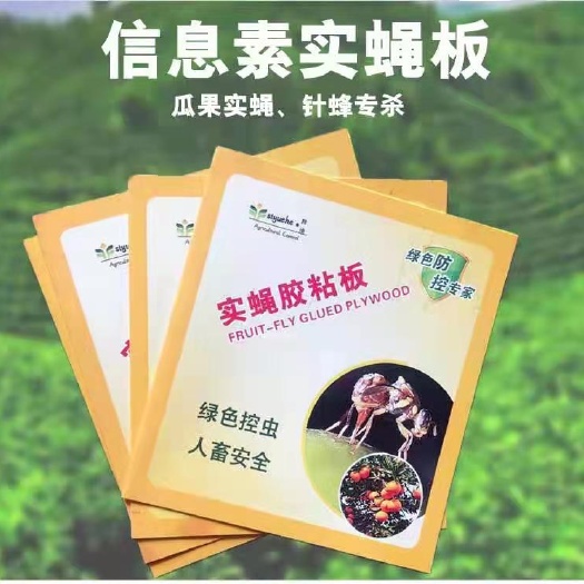 曹县诱虫板  瓜果实蝇诱粘板针蜂贴果蝇诱捕器贴桔小实蝇粘虫板果园专用黏胶板