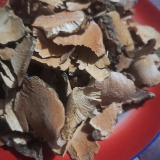 关岭县茯苓 伏灵中药材天然中药材