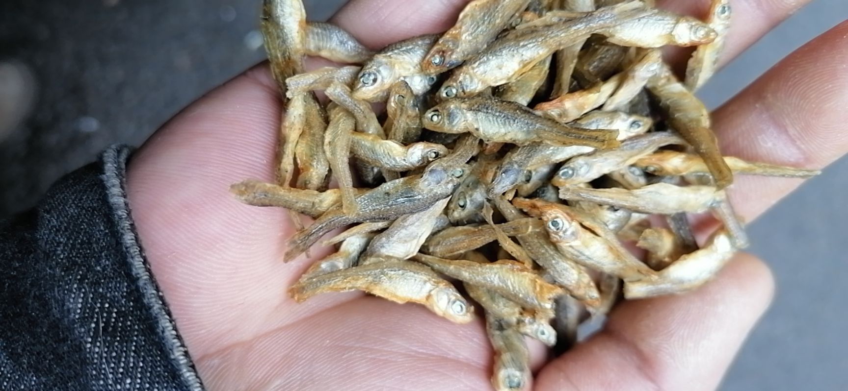 湖南火焙魚白弄子魚青皮弄子魚小魚干