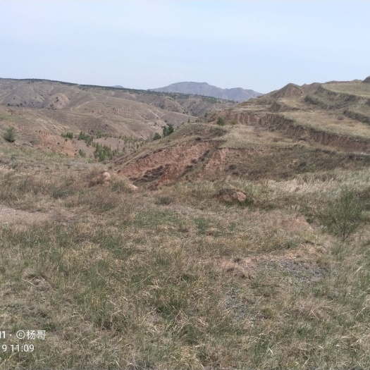 蔚县山地 光伏用地出租