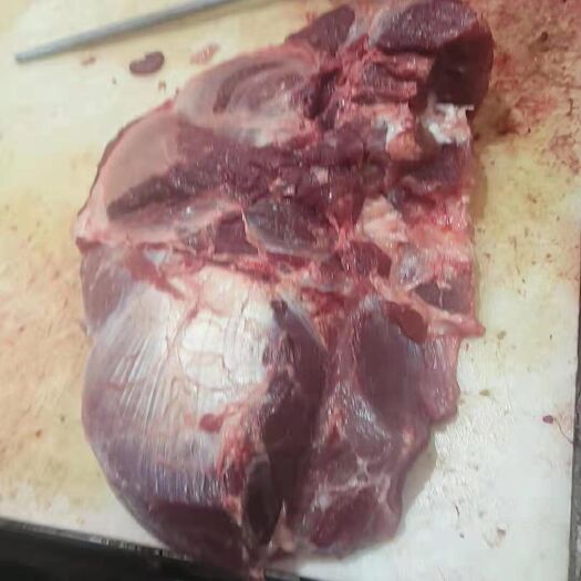 商丘前腿肉  母猪前腱