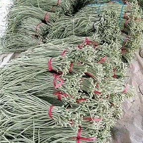 莘县 精品长豆角