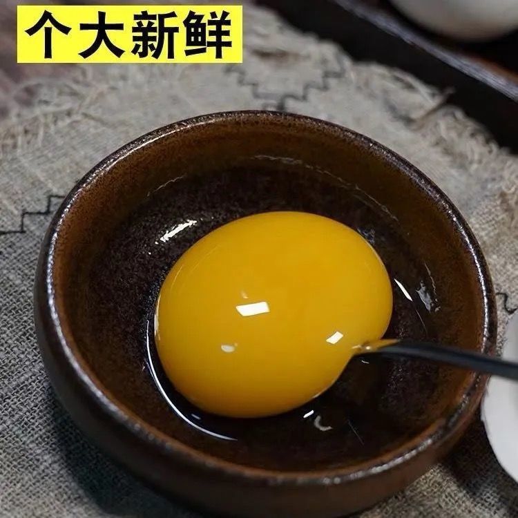 鮮鵝蛋  鵝蛋批發(fā)產(chǎn)地直發(fā)破損包賠